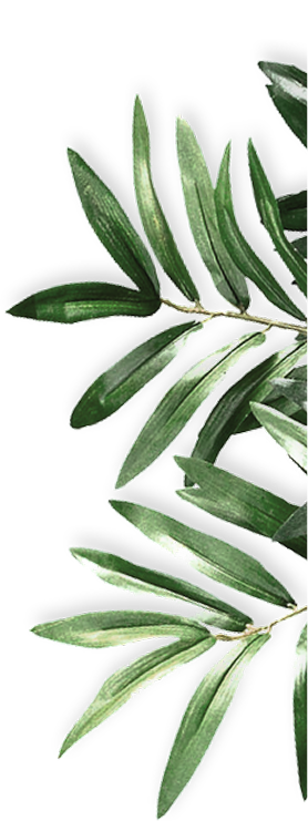 Words from the Community decor